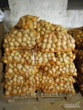 Sprzedam ziemniaki żółte z jasnej ziemi. Aktualnie naszykowane jest 160 worków po 15kg. Cena 17zł/15kg.