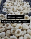 For all your frozen and fresh vegetable needs from Egypt we are your trusted suppliers  .we can offer now Fresh garlic with premium...