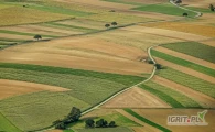 Kupię lub wydzierżawię grunt rolny powyżej 12ha do 110 ha na terenie gm. Wilczęta , Godkowo, OrnetaDzierżawa tylko na pisemną...