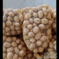 Sprzedam 20 tom ziemniaków jadalnych Montana, posegregowane według wielkości, przygotowane w workach 15 kg, 30 kg lub big bagach Idealne...