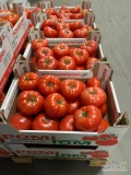 Sprzedam pomidora szklarniowego czerwonego w rozmiarze 4B, powyżej 102mm. Ilości paletowe. Najwyższa jakość! Produkt Polski od...
