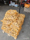 Duże ilości ziemniaków żółtych, szykowanych na zamówienie, najlepiej big bag, mogę też naszykowac budowę ilości w workach 15kg.