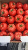Sprzedam pomidor malinowy, super jakość! Karton 6kg