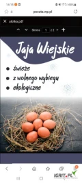 Sprzedam jaja wiejskie z wolnego wybiegu. Jajka świeże, smaczne i ekologiczne.Zapraszam do współpracy.Michal +48 721 537 754