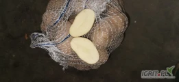 Ziemniaki jadalne Catania oryginał, z chłodni. 