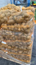 Sprzedam ziemniaki 35/50 mm oraz 50 plus worek szyty bądź big bag 