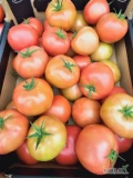 Sprzedam pomidora malinowego 2B 15 zł karton transport
