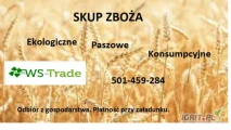 Firma WS-TRADE zakupi zboża m.in. owies, pszenica, żyto, kukurydza, łubin  oraz ekologię. Ilość min. 20 ton.   Odbiór z...
