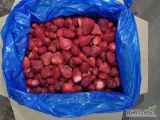 Sprzedam truskawki mrożony , kl 1 ,czerwona ,czysta ,przebadana na pestycydy w Polsce ,pakowanie 10 kg karton ,Odmiana Festiwal...