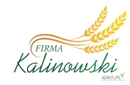 Firma Kalinowski kupi kukurydzę. Atrakcyjne ceny. Odbiór z gospodarstwa, szybka realizacja.