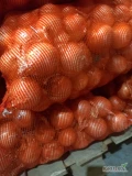 Sprzedam cebule 50-70, fazorowana, twarda, sucha, czysta. Worek 30 kg. MARKETOWY TOWAR