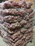 Sprzedam ziemniaki odmiany belaroza obecnie naszykowane 4 palety po 70 worków.