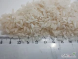 Sprzedam duże ilości ryżu 
