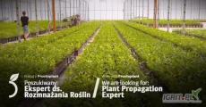 Ekspert ds. rozmnażania roślin poszukiwany- Praca w Gąbinie
