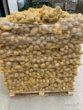 Hurtownia skup ziemniaków żółtych i czerwonych kaliber 55+minimalna ilość 1 samochód ciężarowy 23-24 tonsprzedaż do...