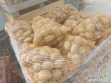 Sprzedam ziemniaki jadalne 55+ soraya ładna zdrowa twarda  