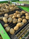 Sprzedam ziemniaka młodego (Rumunia) 