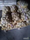 Sprzedam ziemniaki jadalne 540 worków 15 kg 6 + jasne 