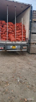 Sprzedam 20 ton cebuli na obieranie.Cena 0.55 zł