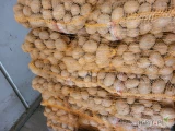 Sprzedam ziemniaki soraya +45 worek wiązany lub bb