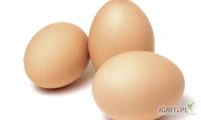 Sprzedaj jaja niesort, S,M,L oraz podwójne . Podana cena za niesort. Większe ilości 