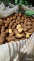 Sprzedam ziemniaki jadalne. Ilości tirowe Pakowane w B-B i worek 15 kg.