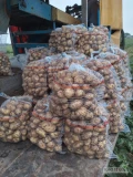 Sprzedam ziemniaki młode riwiera duże ilości 