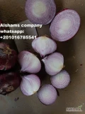 New season Start of #Egyptian #onionVarieties: redPACKING : 10 kg per bagfor contact us :whatsapp: +201016785541Email...