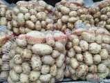  Sprzedam ziemniaki młode  ilość i cena do uzgodnienia 