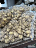 Sprzedam ziemniaki, odmiana Riviera , kal. +35 mm, kopane pod zamówienie .