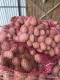 Sprzedam ziemniaki jadalne czerwone baltic rosa w ilosci 5ton oraz czerwone bellarosa w ilosci około 3 ton.Pakowane w worek 10kg
