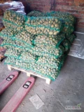 Ziemniaki paszowe pakowanie w worki 25 Klio dostępne 1425 kilo sortowane sortownikiem 