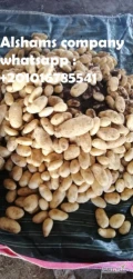 We would like to offer our potatoesvariety: all kindsOrigin: EgyptPrice: depended on package and destinationpotatoes Specification:-•45 up...