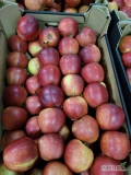Sprzedam 26 palet jabłka prince w czarnym kartonie 13 kg. Jabłko po wodnym rozładunku w kalibrach 7-8 i 8-9. Możliwość odbioru od...