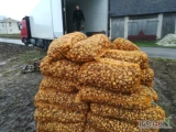 Sprzedam świeżą  ekologiczną bulwę topinambura  około 2 ton wiecej na www.chmiel24.pl