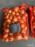 Sprzedam cebulę fazorowana w worku szytym 10/15 kg
