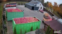 Kupimy Jabłka na Suchy i Mokry Przemysł Natychmiastowa Płatność!!! Zapraszamy www.md-macierzynski.pl 