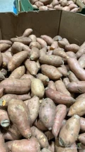 Batat słodkie ziemniaki bataty II klasa duże ilości dostępne cały czas. Zapraszam do wspolpracy