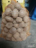 Sprzedam ziemniaki Impresja pakowane w worki 15 kg cena 18zł/15 kg