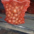Sprzedam cebule worek 10 kg na palecie 1000 kg . Ostatnie 15 ton