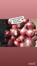 Alshams company for general import &export in EGYPT#Fresh_red_Onions● we can Delivery your request for any country● Grade A● packing :...
