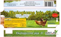 Sprzedam jajka eko (0 PL ) certyfikat luz w 30, bądź opakowania 10 sztuk jestem producentem jajo barwy kremowej. Dostawy cały kraj.