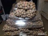 Sprzedam ziemniaki jadalne Irga bez rdzy z piaskowej ziemi pakowane w worki 15kg. Więcej informacji pod numerem telefonu 506-798-030