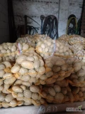 Sprzedam ziemniaki Madelajna 457 x 15kg.Ziemniak z jasnej ziemi.