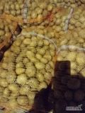 Sprzedam ziemniaki volumia kaliber 35-50