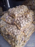 Sprzedam ziemniaki jadalne Tajfun 45 plus Około 230 worków szczotkowane