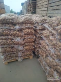 Sprzedam ziemniaki irga grube kaliber 5 + towar twardy ilości paletowe 697663464