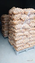 Sprzedam ziemniaki jadalne odmiany Jurek 300 woreczków