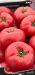 Witam. Posiadam w sprzedaży Pomidory malinowe. Towar świeży od polskich producentów w rozmiarach b,bb,bbb.  Dostępne ilości...