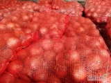 Sprzedam cebule fazorowana import Niemcy worek 10 kg lub lub bag 60-80 i 50-70. Ilości tirowe lub paletowe